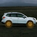 Should I Buy A 2025 Honda Civic? An Honest Review